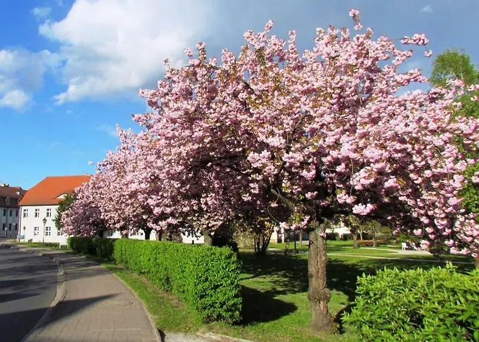 Kastanienhof Lägenhet Lübben
